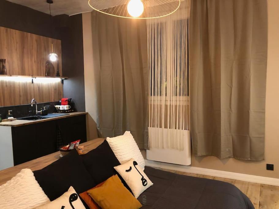 Le Tulum, T2, Hyper-Centre, Place Aux Herbes มากง ภายนอก รูปภาพ